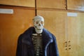 Skeleton of a man in a fur coat made of natural animal fur. Concept of Halloween, environmental protection