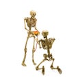 Skeleton model kneel proposal to girlfriend giving rose. Royalty Free Stock Photo