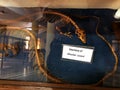 skeleton of monitor lizard kept into the glass showcase at museum