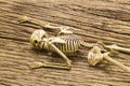 Skeleton on old wooden background