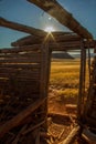 Skeleton of old Wyoming Homestead Royalty Free Stock Photo