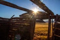 Skeleton of old Wyoming Homestead