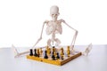 The skeleton playing chess game on white Royalty Free Stock Photo