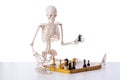 Skeleton playing chess game on white Royalty Free Stock Photo