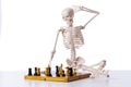 Skeleton playing chess game on white Royalty Free Stock Photo