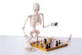 The skeleton playing chess game on white Royalty Free Stock Photo