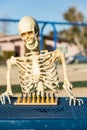 Skeleton playing chess in a park Royalty Free Stock Photo