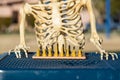 Skeleton playing chess Royalty Free Stock Photo
