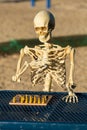 Skeleton playing chess on a picnic bench Royalty Free Stock Photo