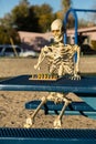 Skeleton playing chess on a picnic bench Royalty Free Stock Photo