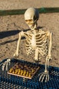 Skeleton playing chess Royalty Free Stock Photo