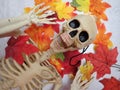 skeleton playing in the New England fall leaves.. (HALLOWEEN sites)