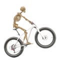 Skeleton is riding a bike side view