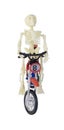 Skeleton Riding Motorcycle Front View