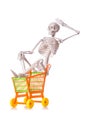 Skeleton with shopping cart trolley isolated
