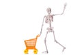 Skeleton with shopping cart trolley isolated