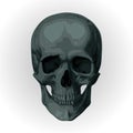 Skeleton skul Royalty Free Stock Photo