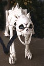 Skeleton of Snarling Dog