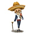 Skeleton in sombrero illustration. Day of the dead, Cinco de Mayo vintage greeting card Royalty Free Stock Photo
