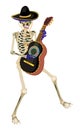 Skeleton in sombrero playing guitar. Vector isolated illustration Royalty Free Stock Photo