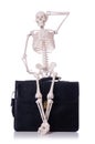 Skeleton with suitcase