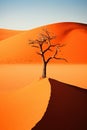 Skeleton tree against the red dunes of Namibia.