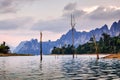 Skeleton trees in water at dusk, Khao Sok National Park