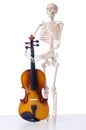 Skeleton with violin on white Royalty Free Stock Photo