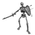 Skeleton warrior with sword and shield.