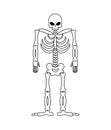 Skeleton on white background. Skull and Bones. Dead isolated