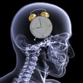 Skeleton X-Ray - Alarm Royalty Free Stock Photo