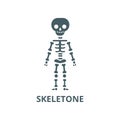 Skeletone vector line icon, linear concept, outline sign, symbol