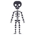 Skeletone vector line icon, sign, illustration on background, editable strokes