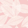 Skeletonized leaves seamless Royalty Free Stock Photo