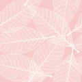Skeletonized leaves seamless Royalty Free Stock Photo