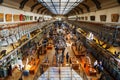 Skeletons of animals in the Gallery of Palaeontology and Comparative Anatomy in Paris