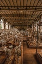 Skeletons of animals in the huge hall in Gallery of Paleontology and Comparative Anatomy at Paris.