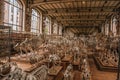 Skeletons of animals in the huge hall in Gallery of Paleontology and Comparative Anatomy at Paris.