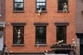 Skeletons invade a Manhattan brownstone