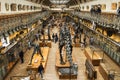 Skeletons in paleonthology gallery in Paris natural history museum, France Royalty Free Stock Photo