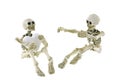 Skeletons sitting together with one holding a white heart Royalty Free Stock Photo