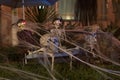 Skeletons and spider webs Halloween holiday night