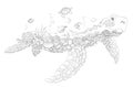 Line art turtle sketch pencil drawing deep sea fish aquarium coral seaweed