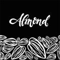 Sketch almonds pattern on black background