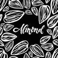 Sketch almonds pattern on black background