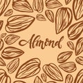 Sketch almonds pattern on light background
