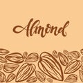 Sketch almonds pattern on light background