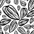 Sketch almonds pattern on white background