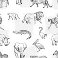 Sketch animal pattern. African, asian fauna background. Elephant and monkey, lion and crocodile vector seamless texture Royalty Free Stock Photo