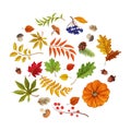 Vector sketch autumn forest symbol set Royalty Free Stock Photo